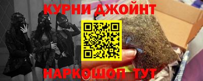 jwh Кингисепп