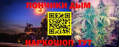 jwh Кингисепп
