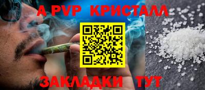 jwh Кингисепп