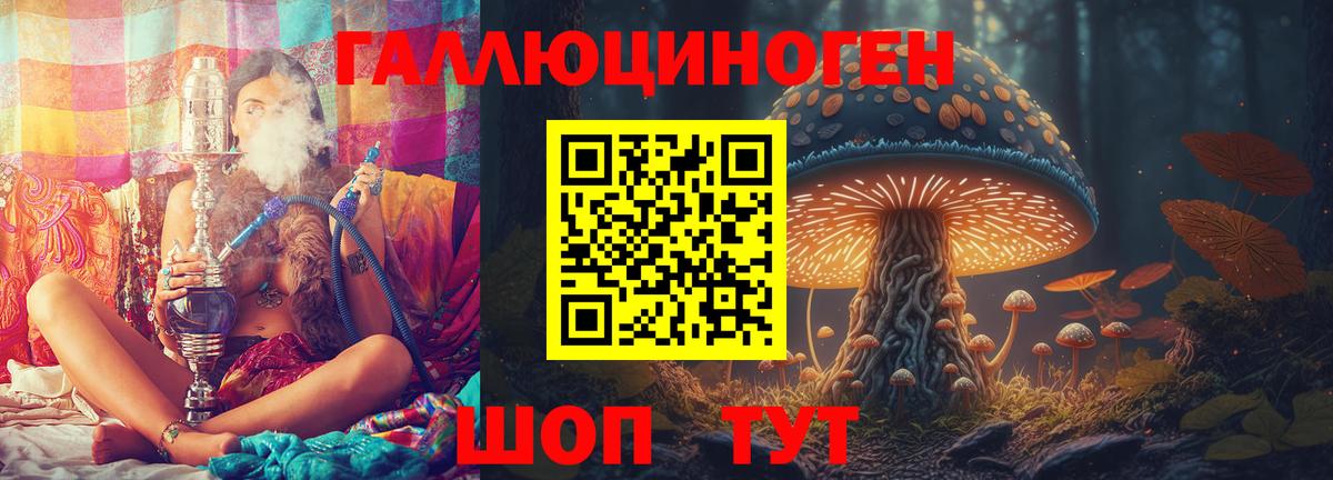 Искитим  Галлюциногенные грибы MAGIC MUSHROOMS  Галлюциногенные грибы мицелий  Вход с VPN 